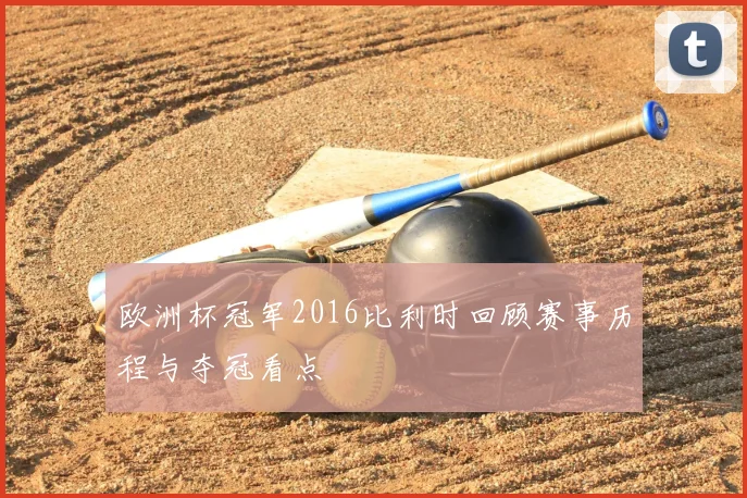 欧洲杯冠军2016比利时回顾赛事历程与夺冠看点