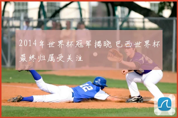 2014年世界杯冠军揭晓 巴西世界杯最终归属受关注