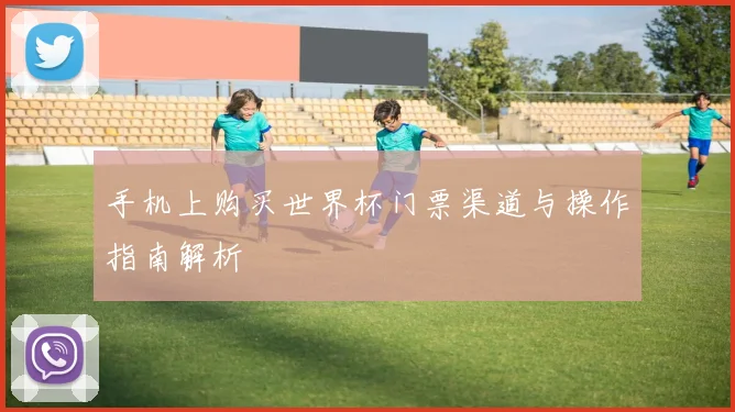 手机上购买世界杯门票渠道与操作指南解析
