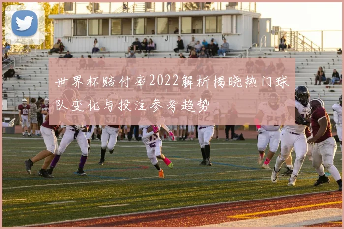世界杯赔付率2022解析揭晓热门球队变化与投注参考趋势