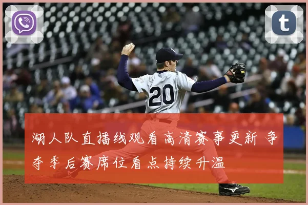 湖人队直播线观看高清赛事更新 争夺季后赛席位看点持续升温