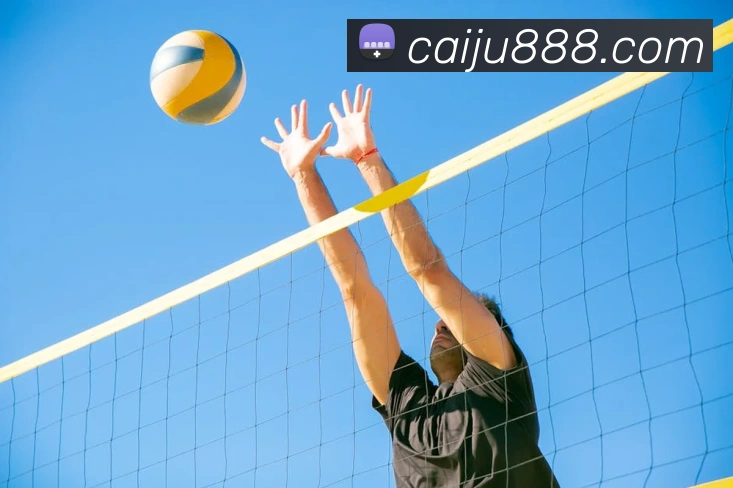 世界杯官网登录app发展历程